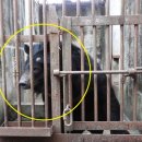 웅담농장 이미지