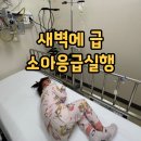 5세 아이 약 알레르기 의심 119 구급차 서울아산병원 소아응급실 다녀온 후기