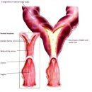 알파동물병원 이미지