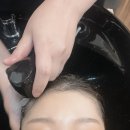 모든카클리닉 | 수완지구 미용실 페이머스샵에서 카나토클리닉 받은 후기 애견동반 가능