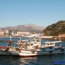 완도항구 이미지