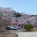 해송펜션 | 충청남도 태안군 해송펜션, 리뷰, 후기, 영업시간
