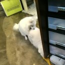 오즈동물병원 이미지