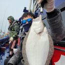 바다소식 이미지