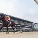 와마코리아 이미지