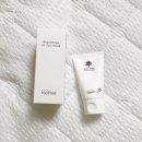 Sun테라피 이미지