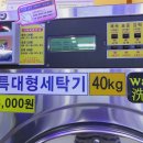 제주 노형동 &#39;크린업 24시 셀프 빨래방&#39; 이용 후기 / 운동화 세탁 가능