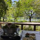 한탄강강변매운탕 | 연천 전곡 재인폭포 근처 맛집 한탄강 강변매운탕 후기