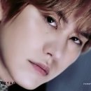 이야이야오 이미지