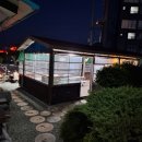 푸조와곰솔 이미지