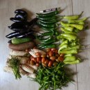 털보농장 이미지