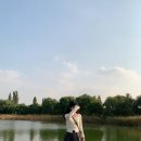 데일리샤 이미지
