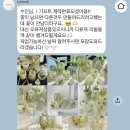 언누아르