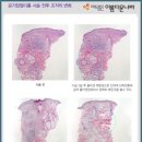아름다운나라피부과 이미지