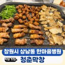 상남동 한마음병원 근처 창원막창맛집 청춘막창 상남본점