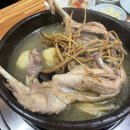 정암토종닭 이미지