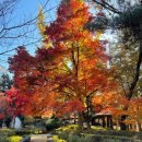 가평역 자전거길 | 아이랑 남이섬 기차여행 하루코스 | 용산역→가평역→남이섬 동화 같은 하루 🌳 엄마들 저장각