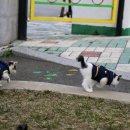 부산강서경찰서 이미지