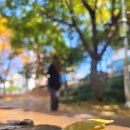 동해분식 - 포항시 북구 칠성로 44-2 | 동해분식