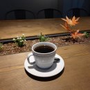 beanology(빈올로지)
