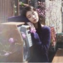 꽃갈피 이미지