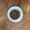 춘주로187번길 | 커피원두 | 코스타리카 엘보스케 게이샤 퍼먼테이션 2024 coe#5