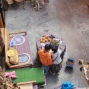 샹그릴라 이미지