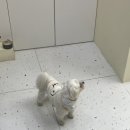 니즈뷰티스튜디오
