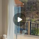 스테이 레브 이미지