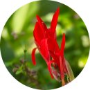 전기차충전소_느지리오름주차장 이미지