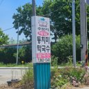 진미동치미메밀막국수 | [세종 연기면] 세종 연기면 맛집 '주문리 메밀 동치미막국수' 내돈내산 후기