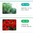 정현고등학교 | (일반고) 정현고등학교 2025 신입생 입학안내, 학교안내