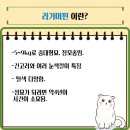 노블랙돌 이미지