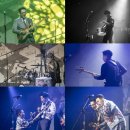 나이스컷 이미지