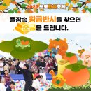 2025청도반시축제 티스토리