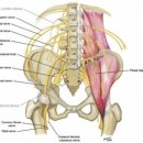 메이드바디 필라테스 이미지