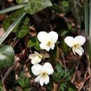 장림2동-8 이미지