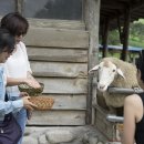 영철목장 이미지