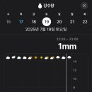 비 1mm 오면 우산 챙길래 말래 이미지