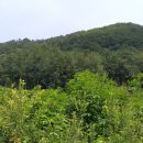 8.15펜션민박 이미지