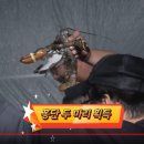 밤밭실내낚시터 이미지