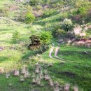 용수골목장 이미지