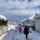 파니퍼니홈 이미지