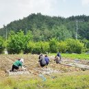 부산면 행정복지센터 이미지