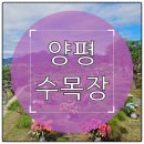 양평수목 | 양평 수목장 가격부터 시설 구성까지 한눈에 정리