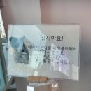 하비몽몽 이미지