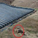 금강축산 이미지