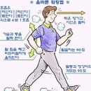 리벨르