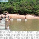 트라우트낚시터