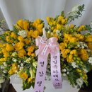춘천꽃집향기나는뜰 이미지